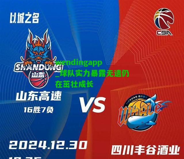 wendingapp_球队实力暴露无遗仍在茁壮成长  第1张